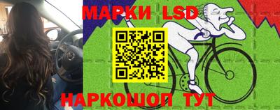 ALPHA PVP Камышлов